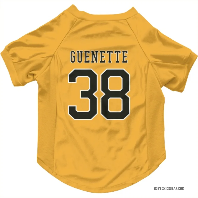 Maxence Guenette  Gold Boston Bruins  Cat & Dog Pet Jersey